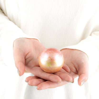 【メモリアルケース】こころぼし　春夏秋冬　K003