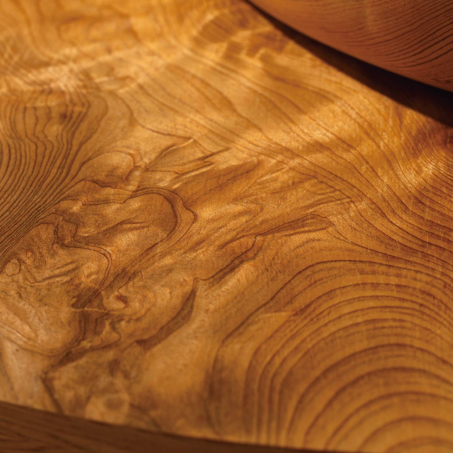 【祈りアート】まがたま円相・屋久杉　生命の記憶　P01