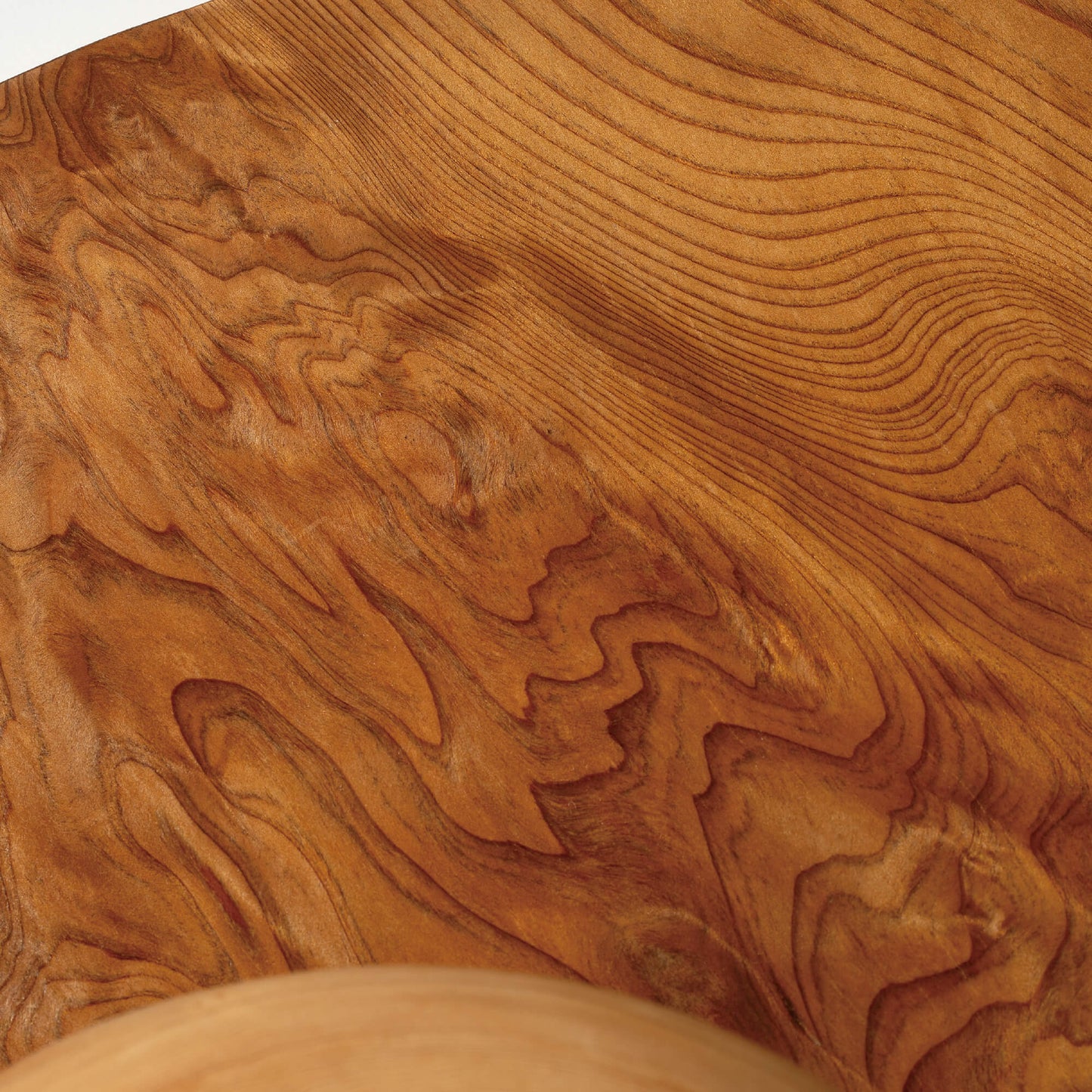 【祈りアート】まがたま円相・屋久杉　生命の記憶　P01